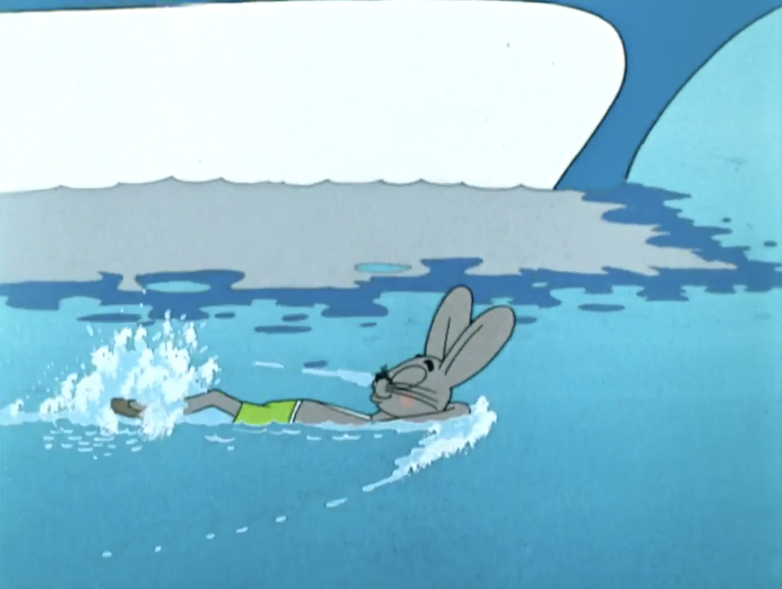 Заяц в ластах. Заяц плавает. Заяц купается. Заея плавает.