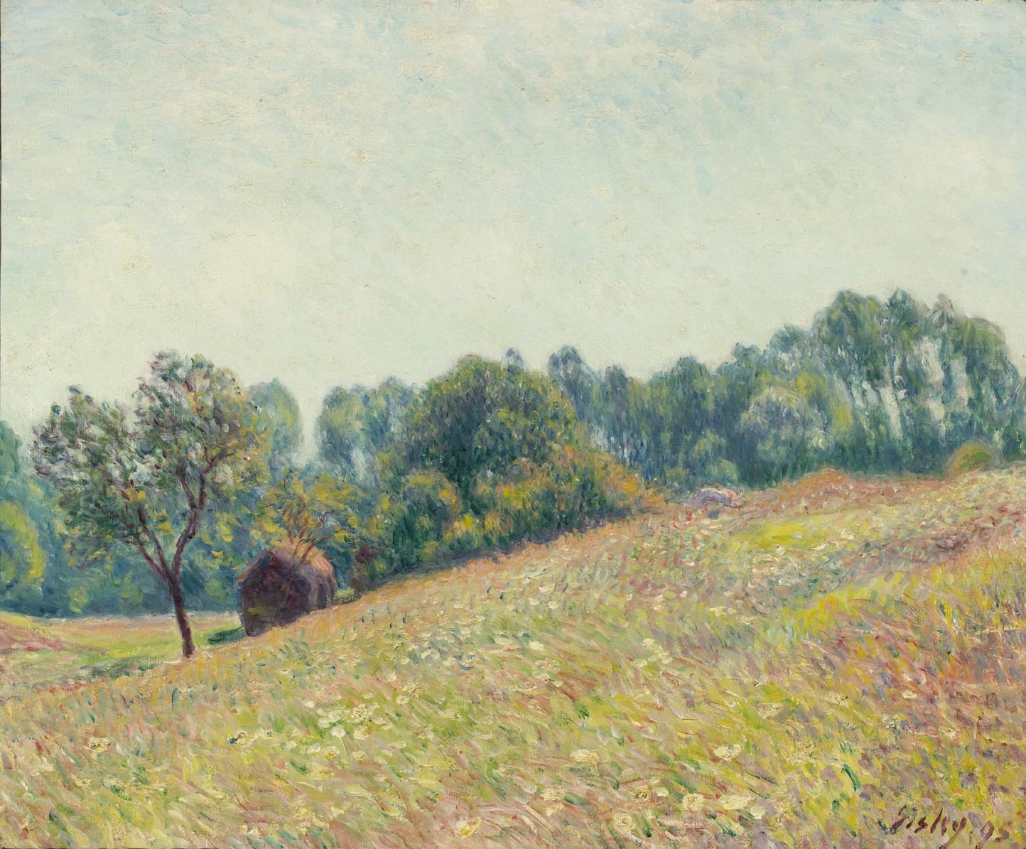 Sisley