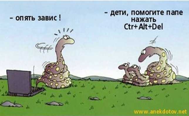 Фото - Наша газета Фото - Наша газета