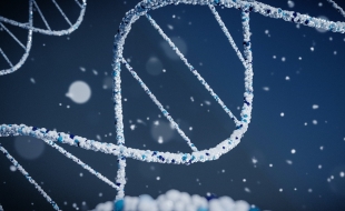 Новый закон о ДНК-фенотипировании 