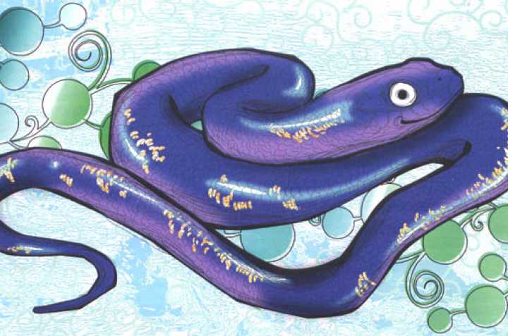 Гороскоп водолей змея