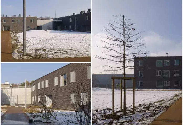 Фото - Наша газета