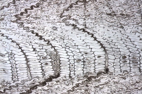 Фото - Наша газета