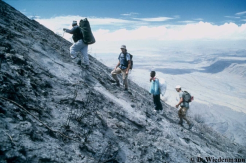 Фото - Наша газета