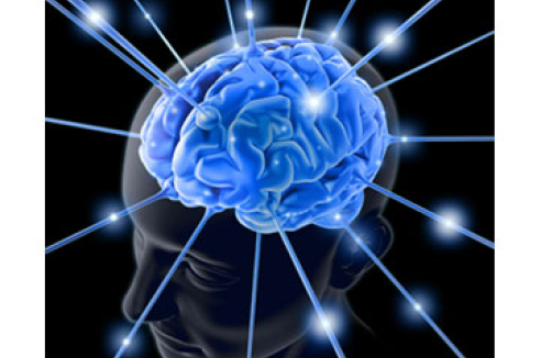 Фото - Наша газета