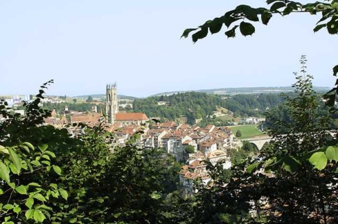 Фото - Наша газета