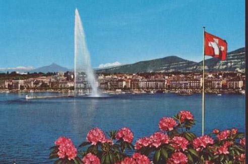 Фото - Наша газета