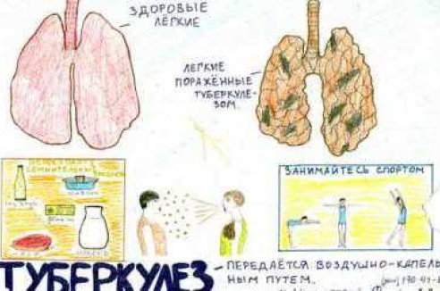 Фото - Наша газета