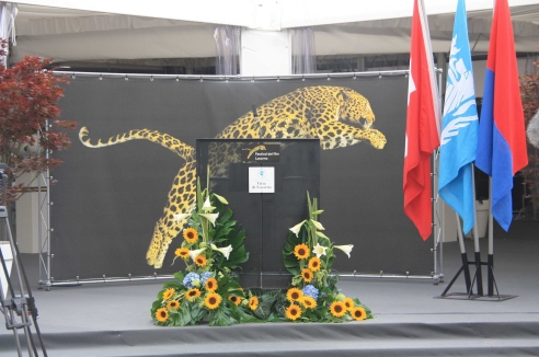 Фото - Наша газета