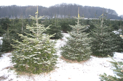 Фото - Наша газета