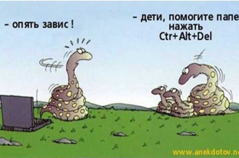 Фото - Наша газета