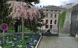 Фото - Наша газета