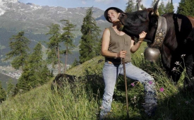 Фото - Наша газета