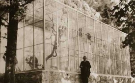 Фото - Наша газета