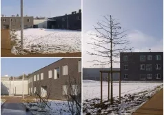 Фото - Наша газета