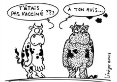 Фото - Наша газета
