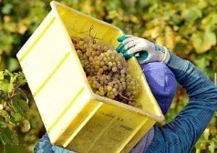 Фото - Наша газета