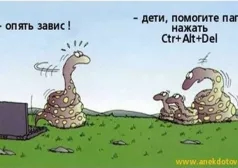 Фото - Наша газета