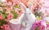 Profile picture for user Tinna